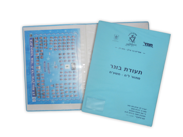 אמית-בר-אילן